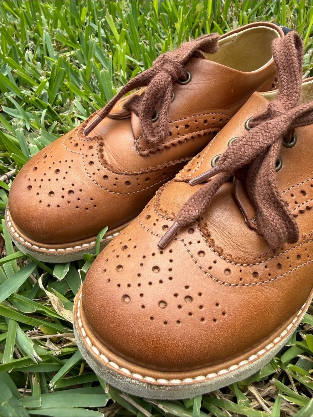 Brando Brogue Kids Shoe Tan Burnished Leather